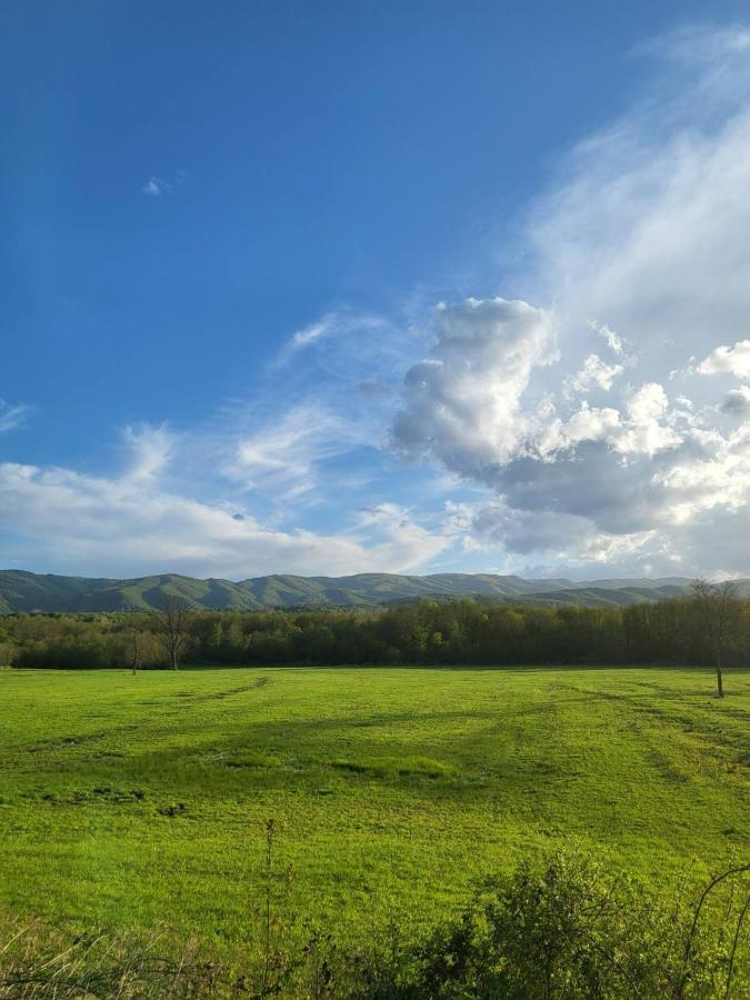 Villa Papuk Vocin Exteriör bild